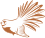 fantail-white Bullswool Farm Park Karangahake